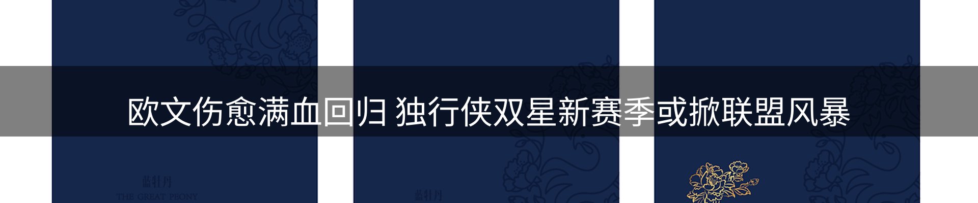 内页banner