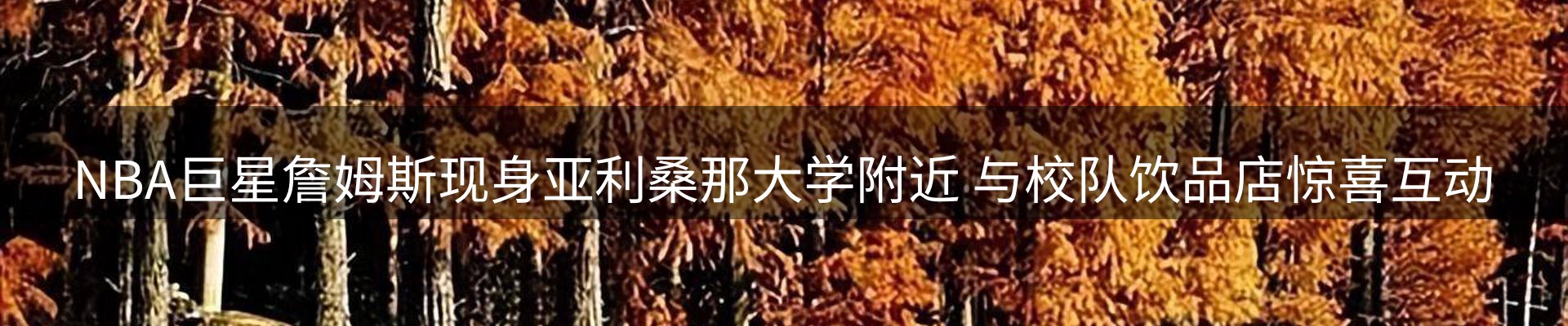内页banner